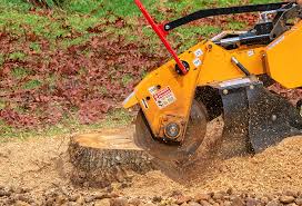 Leaf Removal Services in Delavan Lake, WI